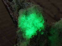 Natural Fluorescent Hyalite Opal Specimen  x 1 From Erongo, Namibia