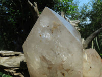 Natural Angolan Extra Extra Large Quartz Cluster x 1 From Angola - TopRock