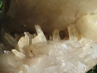 Natural Angolan Extra Extra Large Quartz Cluster x 1 From Angola - TopRock