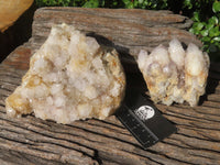 Natural White Spirit Cactus Quartz Clusters x 2 From Boekenhouthoek, South Africa - TopRock