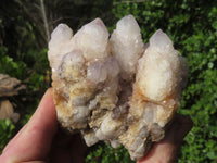 Natural White Spirit Cactus Quartz Clusters x 2 From Boekenhouthoek, South Africa - TopRock