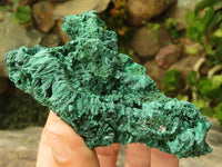 Natural Chatoyant Silky Malachite Specimens  x 6 From Kasompe, Congo - TopRock