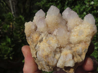 Natural White Spirit Cactus Quartz Clusters x 2 From Boekenhouthoek, South Africa - TopRock