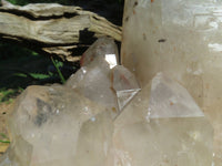 Natural Angolan Extra Extra Large Quartz Cluster x 1 From Angola - TopRock