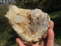 Natural Golden Limonite / Lemonite Quartz Clusters x 4 From Solwezi, Zambia - TopRock