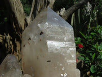 Natural Angolan Extra Extra Large Quartz Cluster x 1 From Angola - TopRock