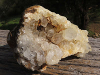 Natural Golden Limonite / Lemonite Quartz Clusters x 4 From Solwezi, Zambia - TopRock