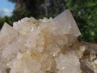 Natural White Spirit Cactus Quartz Clusters x 2 From Boekenhouthoek, South Africa - TopRock