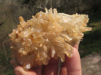 Natural Mixed Selection Of Quartz Clusters x 12 From Madagascar - TopRock