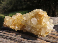 Natural Golden Limonite / Lemonite Quartz Clusters x 4 From Solwezi, Zambia - TopRock