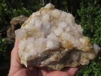 Natural White Spirit Cactus Quartz Clusters x 2 From Boekenhouthoek, South Africa - TopRock