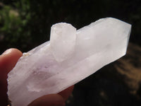 Natural Mixed Clear Amethyst & Smokey Brandberg Quartz Crystals x 12 From Brandberg, Namibia