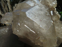 Natural Angolan Extra Extra Large Quartz Cluster x 1 From Angola - TopRock