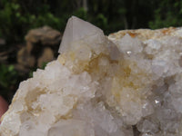 Natural White Spirit Cactus Quartz Clusters x 2 From Boekenhouthoek, South Africa - TopRock