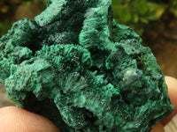 Natural Chatoyant Silky Malachite Specimens  x 6 From Kasompe, Congo - TopRock