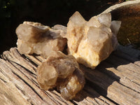 Natural Cascading White Phantom Smokey Quartz Clusters  x 3 From Luena, Congo - Toprock Gemstones and Minerals 