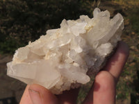 Natural Mixed Selection Of Quartz Clusters x 12 From Madagascar - TopRock