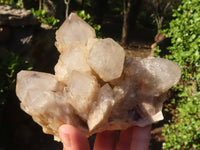 Natural Cascading White Phantom Smokey Quartz Clusters  x 3 From Luena, Congo - Toprock Gemstones and Minerals 