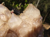 Natural Cascading White Phantom Smokey Quartz Clusters  x 3 From Luena, Congo - Toprock Gemstones and Minerals 