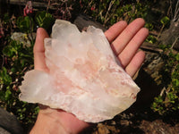 Natural Pink Hematoid Tinted Quartz Crystal Formations  x 4 From Madagascar