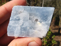 Natural New Sky Blue Calcite Specimens  x 35 From Spitzkop, Namibia