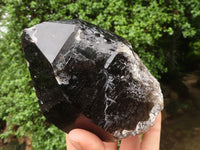 Natural Large Smokey Quartz Crystals  x 2 From Mulanje, Malawi - TopRock