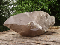 Natural Large Smokey Quartz Crystals  x 2 From Mulanje, Malawi - TopRock