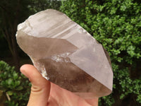 Natural Large Smokey Quartz Crystals  x 2 From Mulanje, Malawi - TopRock