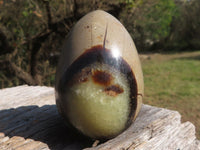 Polished Small Rare Complete Septerye (Calcite & Aragonite) Eggs x 6 From Mahajanga, Madagascar - TopRock