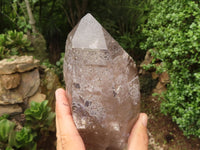 Natural Large Smokey Quartz Crystals  x 2 From Mulanje, Malawi - TopRock