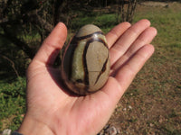 Polished Small Rare Complete Septerye (Calcite & Aragonite) Eggs x 6 From Mahajanga, Madagascar - TopRock