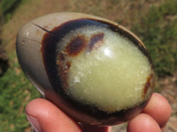 Polished Small Rare Complete Septerye (Calcite & Aragonite) Eggs x 6 From Mahajanga, Madagascar - TopRock