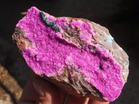 Natural Pink Salrose Cobaltion Dolomite Specimens x 6 From Kakanda, Congo