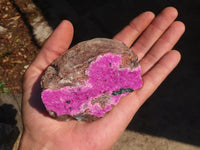 Natural Pink Salrose Cobaltion Dolomite Specimens x 6 From Kakanda, Congo