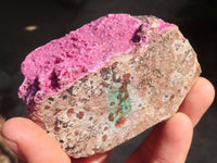 Natural Pink Salrose Cobaltion Dolomite Specimens x 6 From Kakanda, Congo