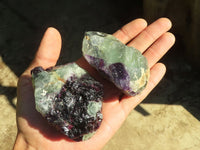 Natural Rough Watermelon Fluorite Cobbed Specimens  x 14 From Uis, Namibia - Toprock Gemstones and Minerals 