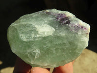 Natural Rough Watermelon Fluorite Cobbed Specimens  x 14 From Uis, Namibia - Toprock Gemstones and Minerals 