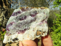 Natural Rough Watermelon Fluorite Cobbed Specimens  x 14 From Uis, Namibia - Toprock Gemstones and Minerals 