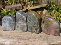 Polished Rare Purple Flash Labradorite Standing Free Forms x 4 From Tulear, Madagascar