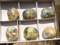 Polished Large Dendrite Yellow Opal Palm Stones  x 6 From Madagascar - TopRock