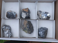 Natural Silver Lead Galena Specimens  x 14 From Kaokoveld, Namibia - TopRock