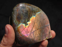 Polished Rare Purple Flash Labradorite Standing Free Forms x 4 From Tulear, Madagascar