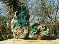 Natural Malachite In Matrix Specimens x 2 From Congo