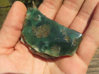 Polished Small Green Mtorolite Emerald Chrome Chrysoprase Plates x 35 From Mutorashanga, Zimbabwe - TopRock