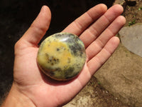 Polished Large Dendrite Yellow Opal Palm Stones  x 6 From Madagascar - TopRock