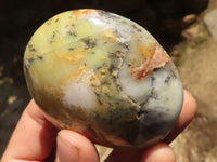 Polished Large Dendrite Yellow Opal Palm Stones  x 6 From Madagascar - TopRock