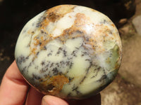 Polished Large Dendrite Yellow Opal Palm Stones  x 6 From Madagascar - TopRock