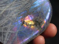 Polished Rare Purple Flash Labradorite Standing Free Forms x 4 From Tulear, Madagascar