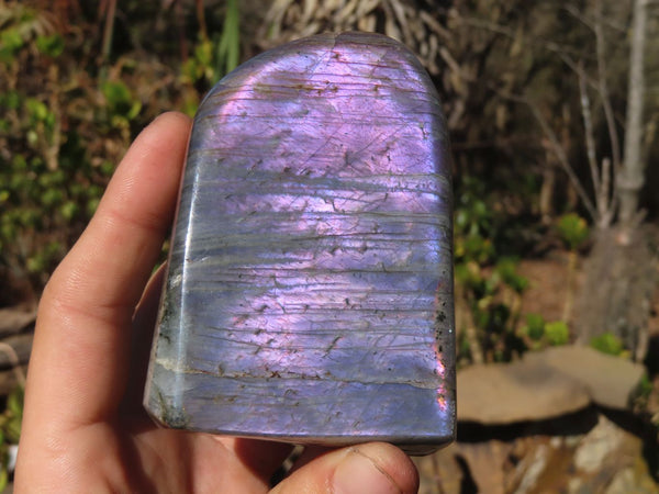 Polished Rare Purple Flash Labradorite Standing Free Forms x 4 From Tulear, Madagascar