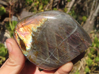 Polished Rare Purple Flash Labradorite Standing Free Forms x 4 From Tulear, Madagascar